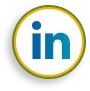 LinkedIn icon